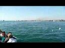 Dwarka Boatride 360 Degrees Gujarat India