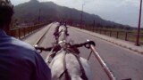 Enjoying Horse cart riding Mansa devi to Chandi Devi Mandir Haridwar