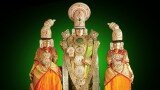 Lord Thirupathi Balaji – Srinivasa Kalyanam (Tamil) – Paalaaga Thaenaaga
