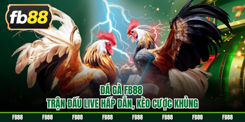 Đá gà FB88