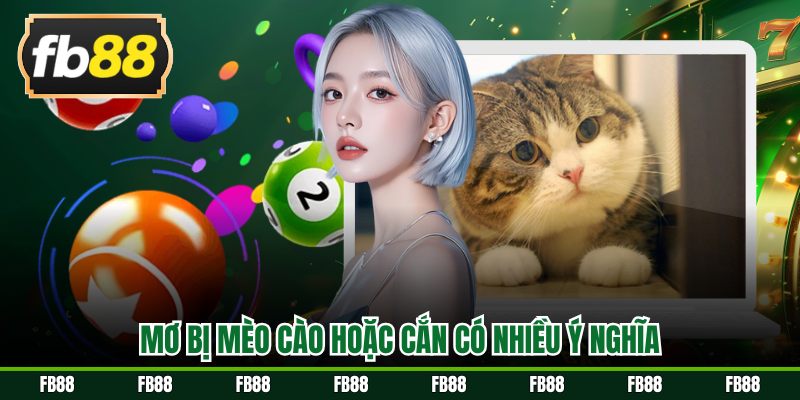 Mơ bị mèo cào hoặc cắn mang nhiều giá trị